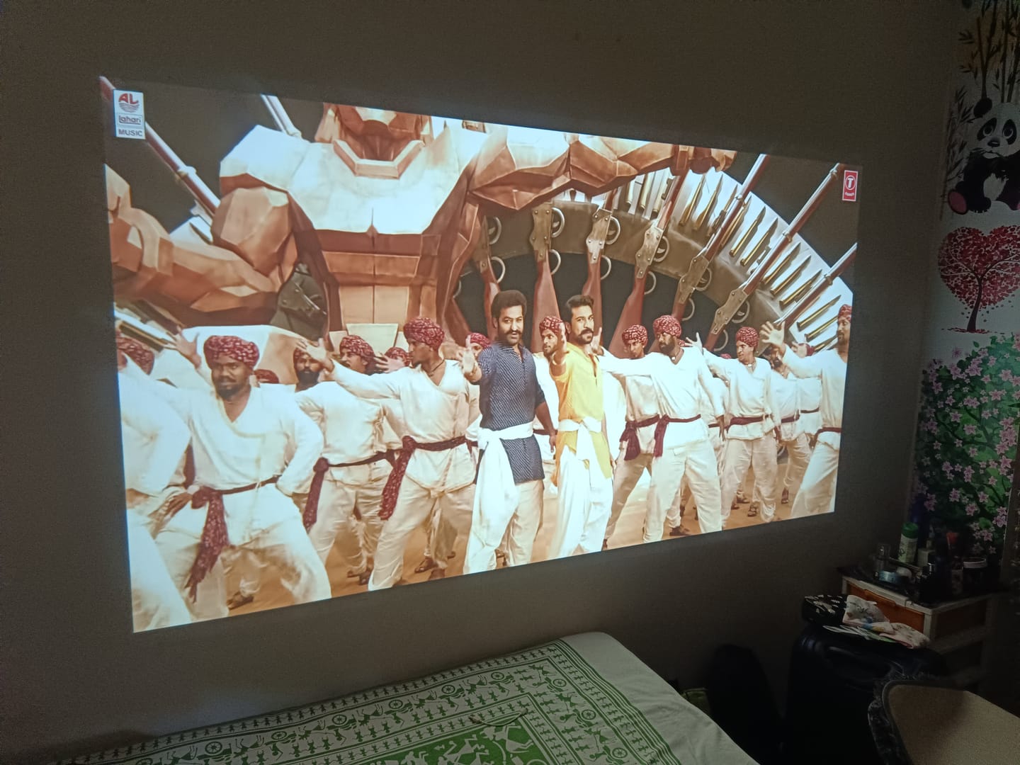Customer photo review of Lumex Flix