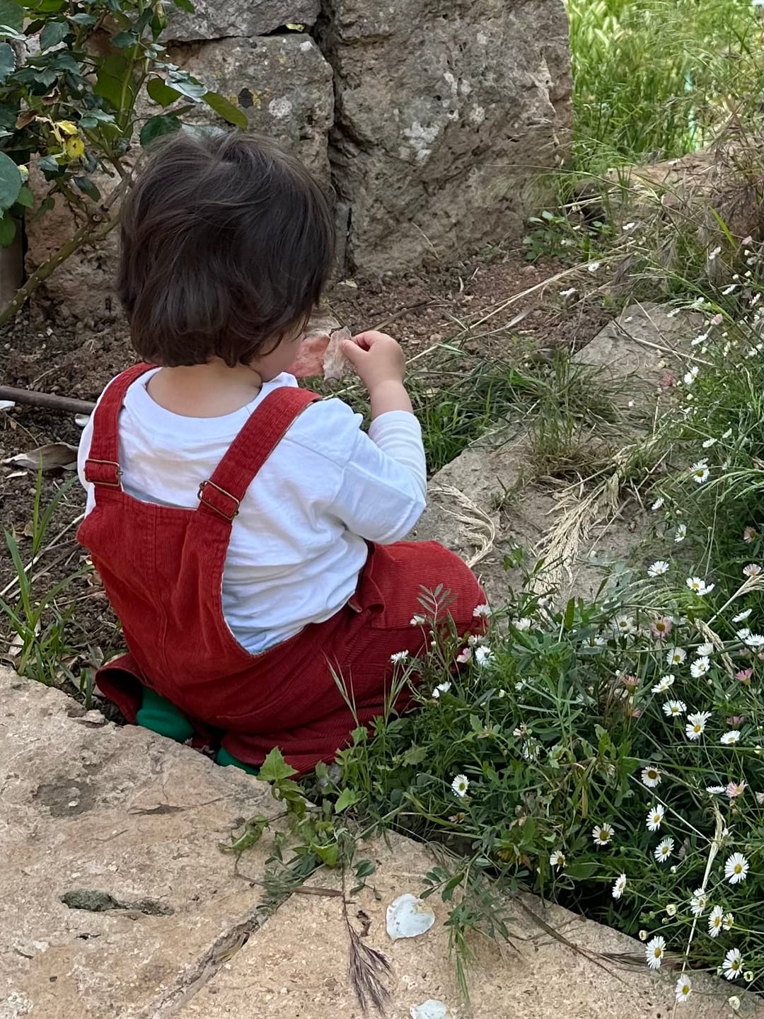 Customer photo review of Hazelnut Lined Corduroy Dungarees