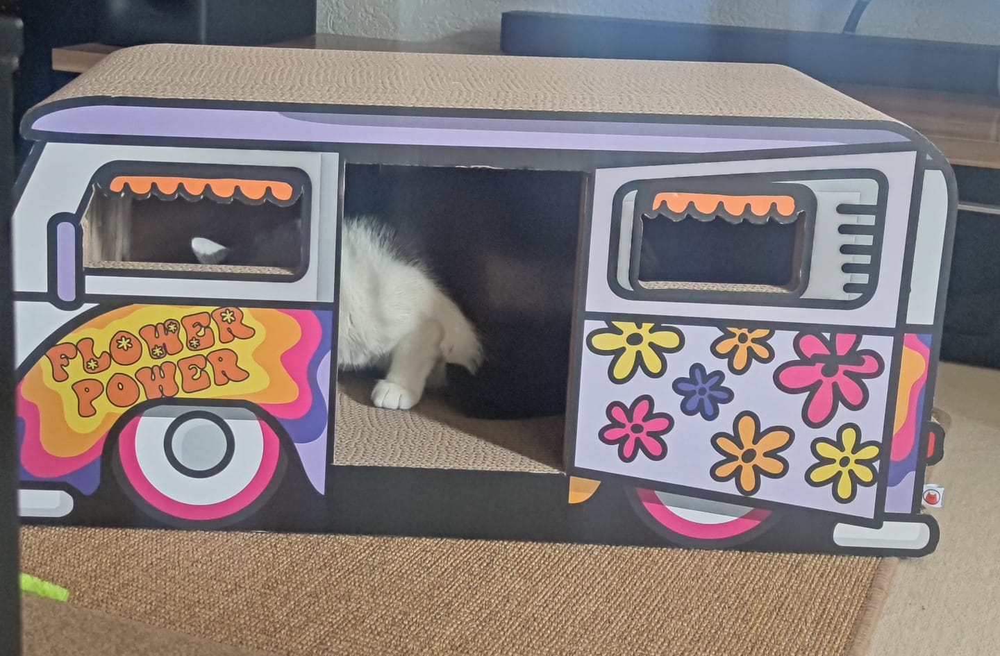 Customer photo review of Hippie-Camper XXL