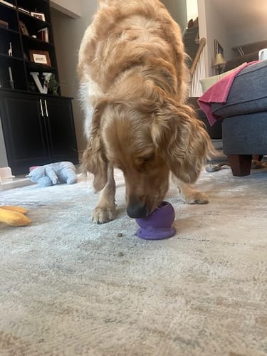 Customer photo review of Freezball - Durable Fillable Dog Chew Bone