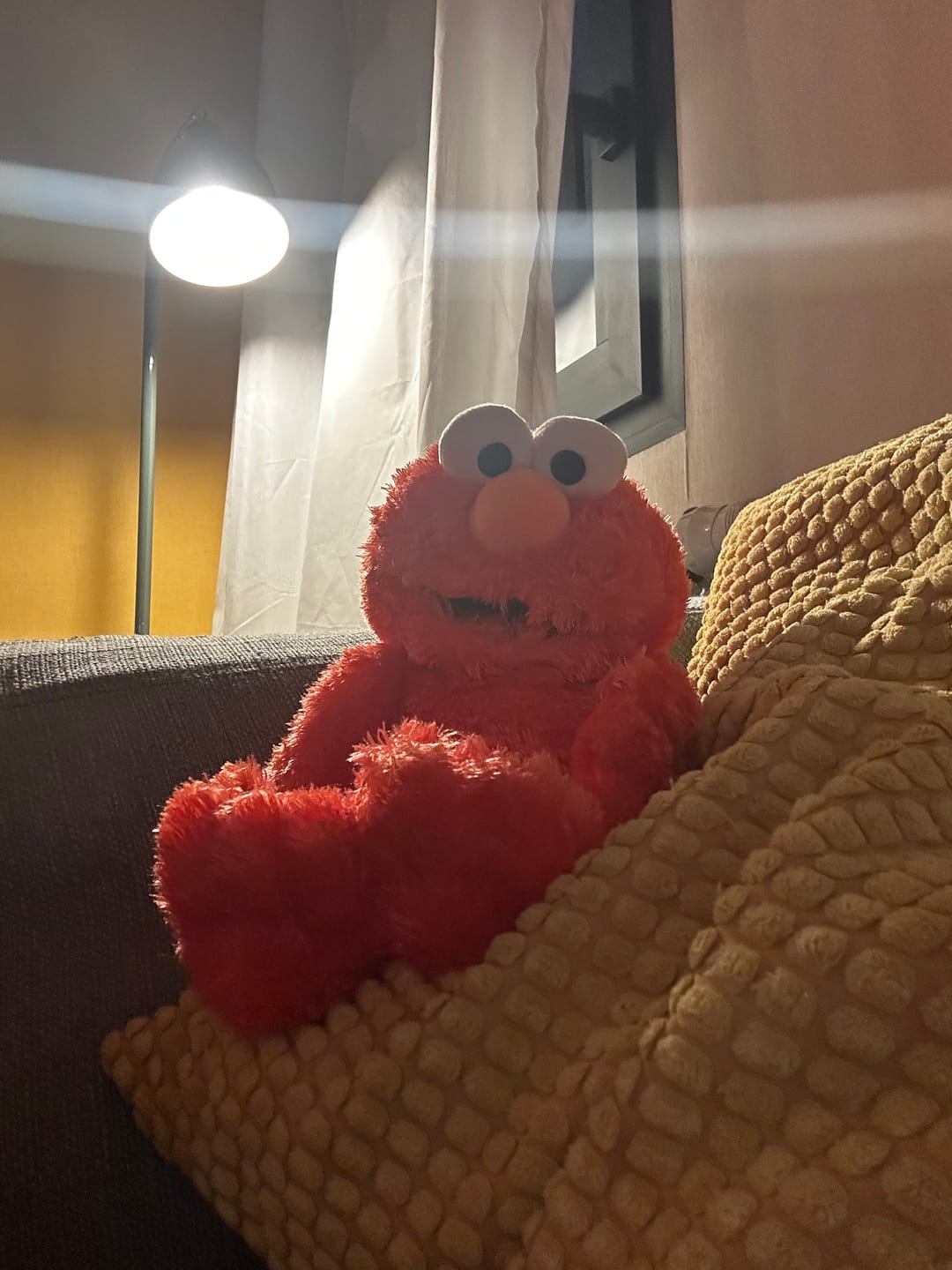 Customer photo review of Elmo Marionnette Sesame Street