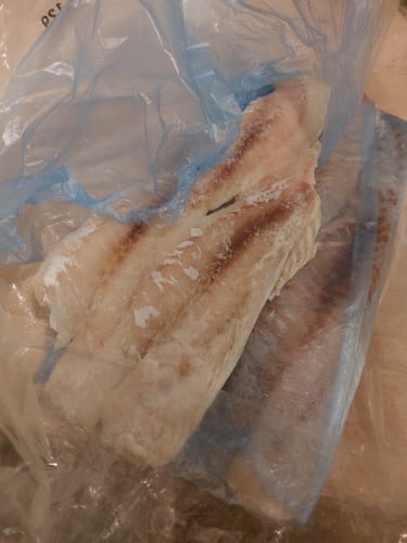 Customer photo review of 5KG Snapper Fillets (Skinned and Boned) Frozen