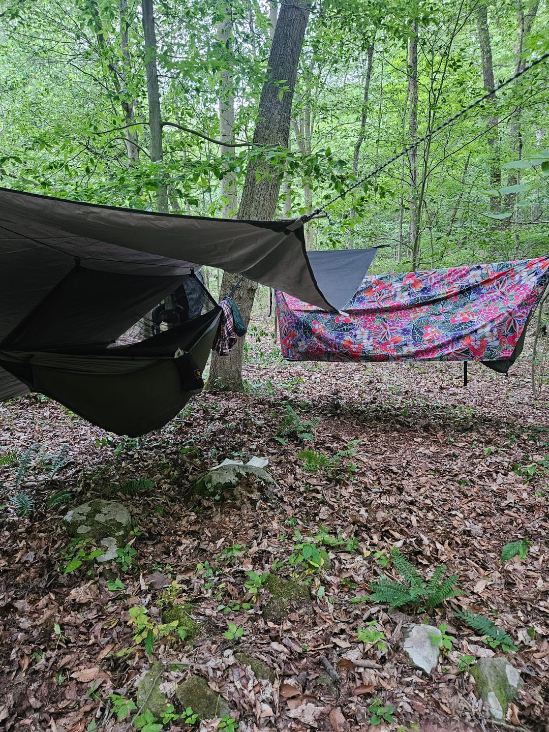 Customer photo review of Haven Tent Rainfly