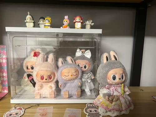 Customer photo review of POP MART The Monsters LABUBU Have a Seat Vinyl Plush Pendant Face Sealed Case (6 Blind Boxes)