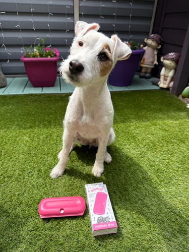 Customer photo review of Deshedding Brush (Pink)