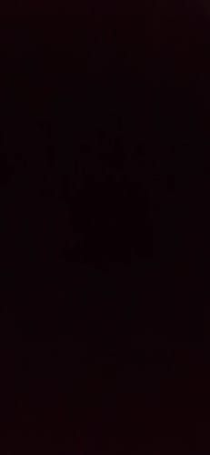 Customer photo review of Nautis