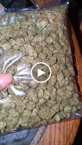 Customer video review of Jager Sour Diesel - Bulk Littles - Sativa