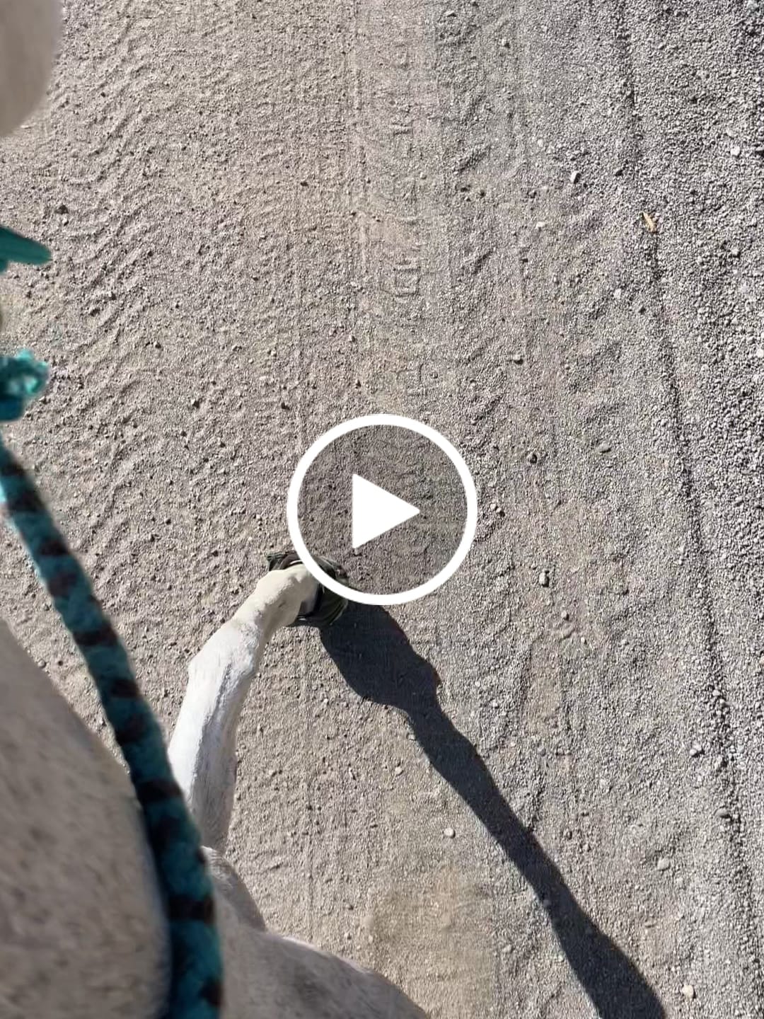 Customer video review of Renegade® Viper Glow™ Hoof Boot Seconds - Caribbean Dream