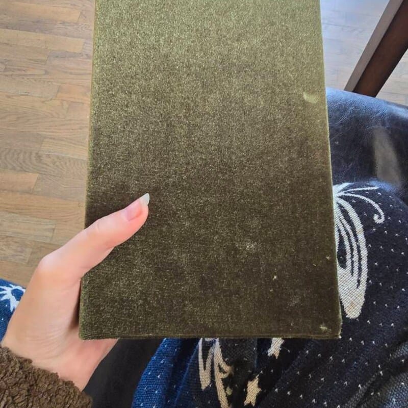 Customer photo review of Olive Green Stretch Velvet