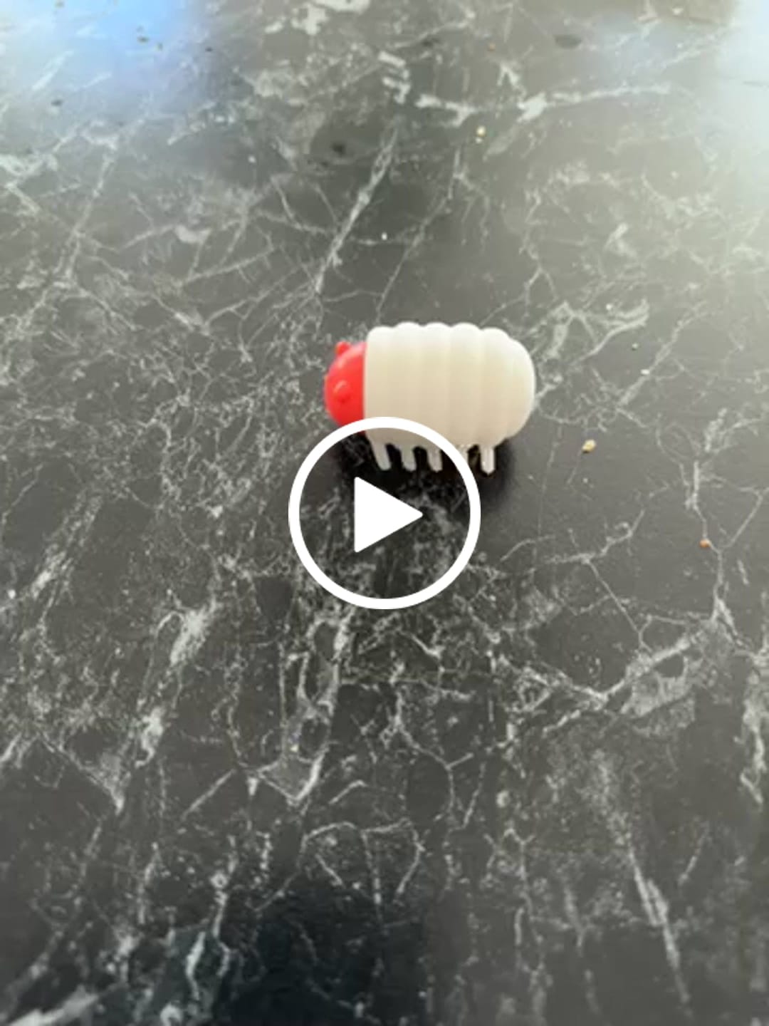 Customer video review of Michu MeowMate Little Monster Automatic Cat Toy