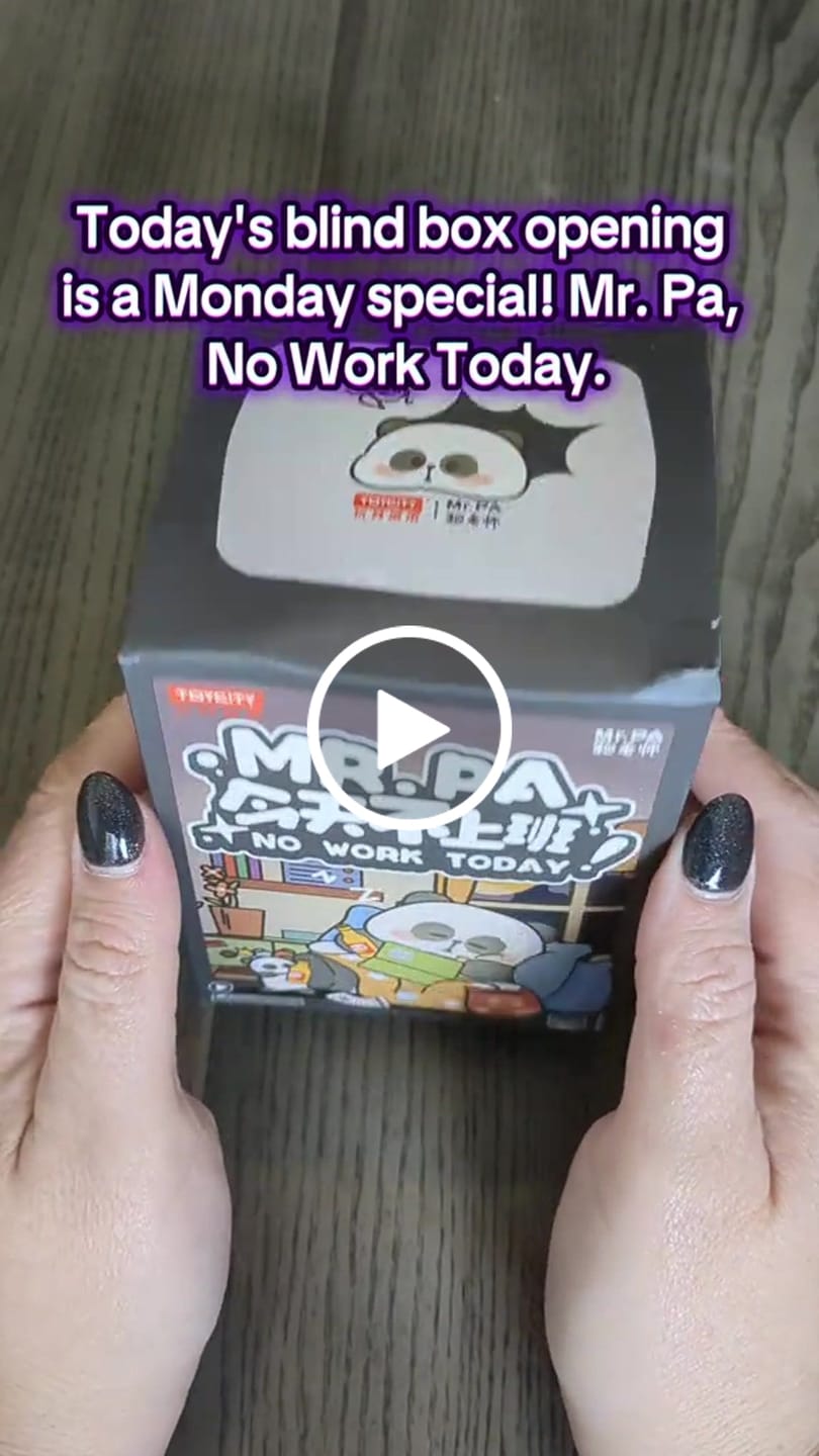 Customer video review of MR.PA No Work Today Series Blind Box