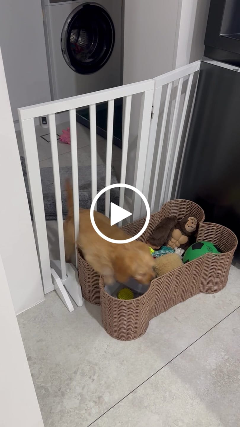 Customer video review of PaWz Wooden Pet Gate - White