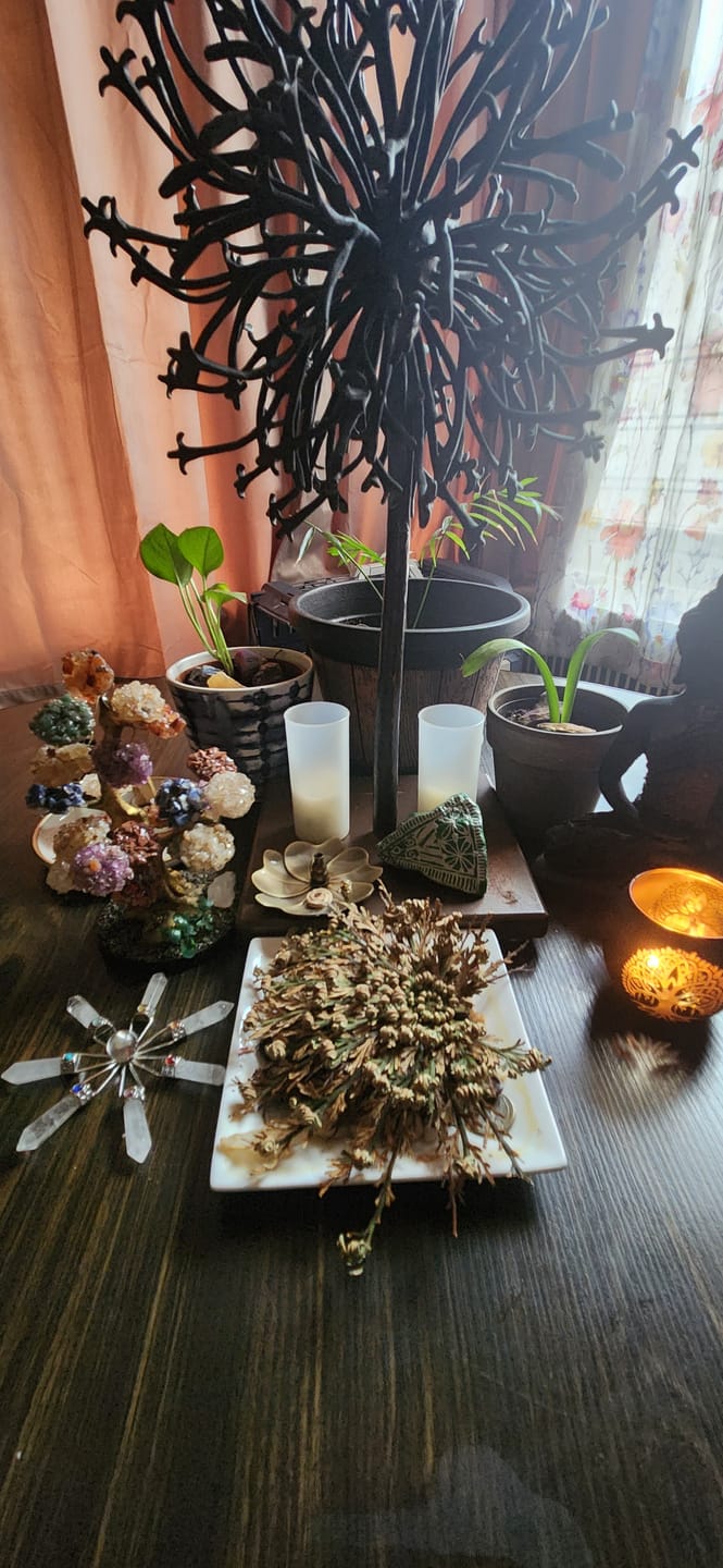 Customer photo review of Rose of Jericho