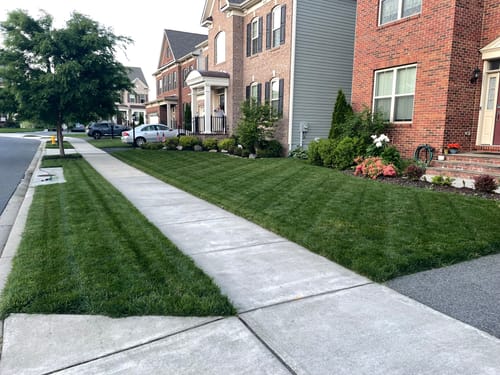 Customer photo review of N-Ext Humic12