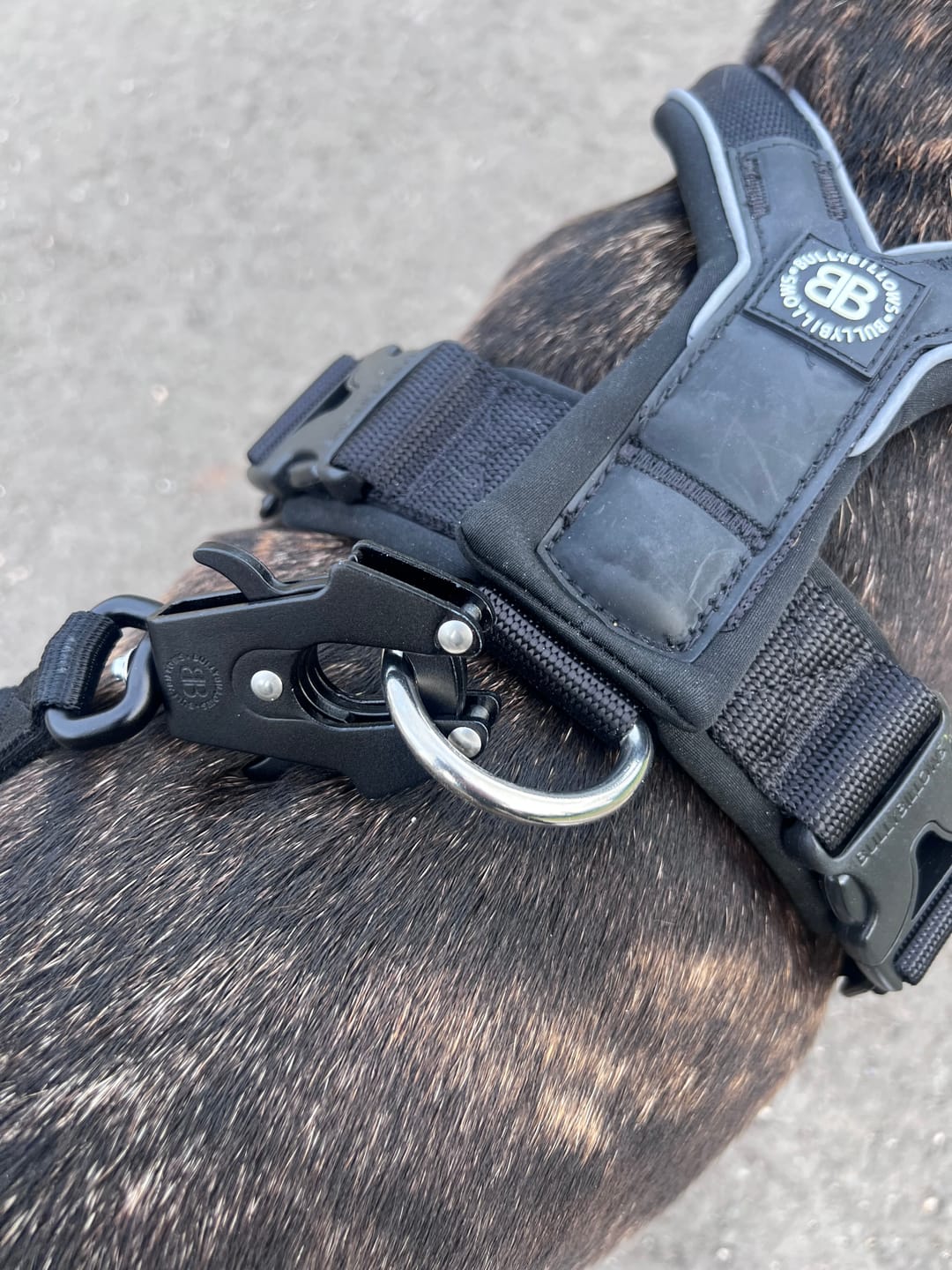 Customer photo review of Ladder Combat® Multiple Handles Lead - Black