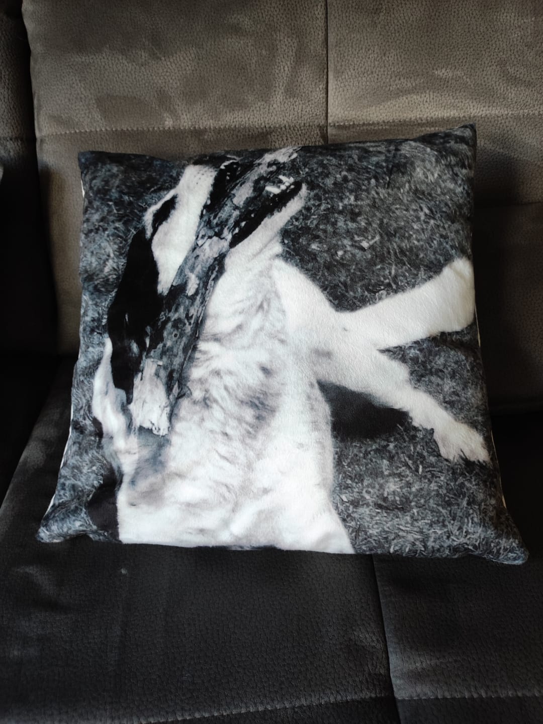 Customer photo review of Fotokissen - Individuelles Kissen