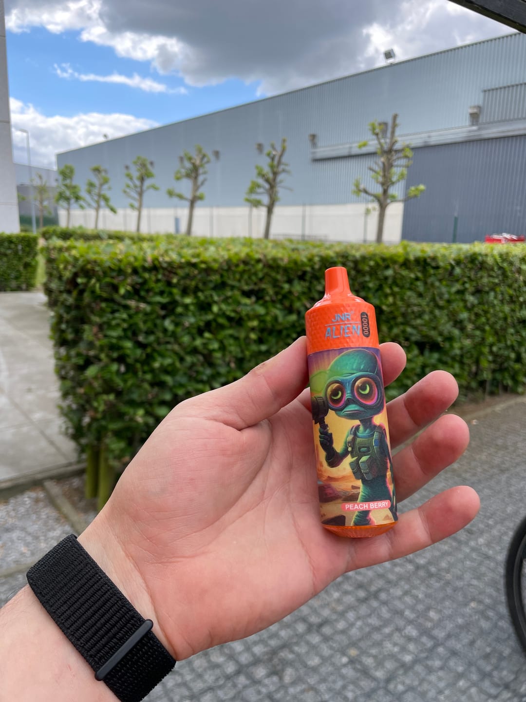 Customer photo review of JNR Alien 10000 (Box of 10)