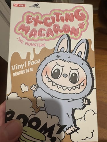 Customer photo review of Pop Mart Labubu The Monsters Tasty Macarons Vinyl Plush Pendant Single Blind Box