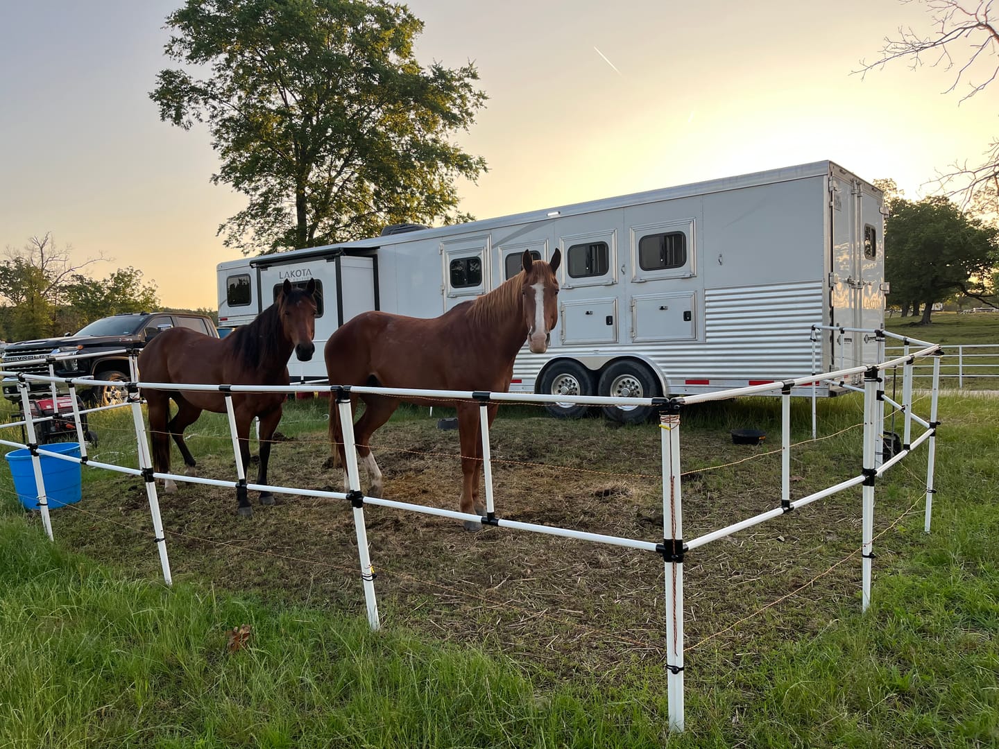Customer photo review of Ready Made Portable Electric Horse Corral Fencing: (Electric EconoLine 10+2=12 Panels; 2 Rails)