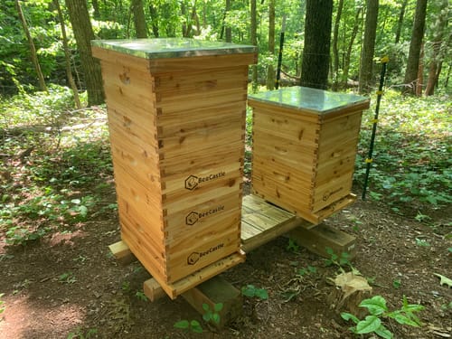 Customer photo review of BeeCastle Beehive 10 Frame 4 Layer:Beeswax Coated Bee Hive with 2 Deep Brood,2 Super Boxes,Complete with Wooden Frames and Beeswax Plastic Foundation.Logo Free Hive for a Natural Beekeeping Experience