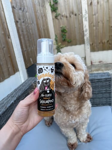 Customer photo review of No Rinse Oatmeal Dog Shampoo with Coconut & Lime