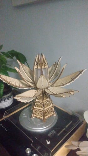 Customer photo review of Fiery Bloom