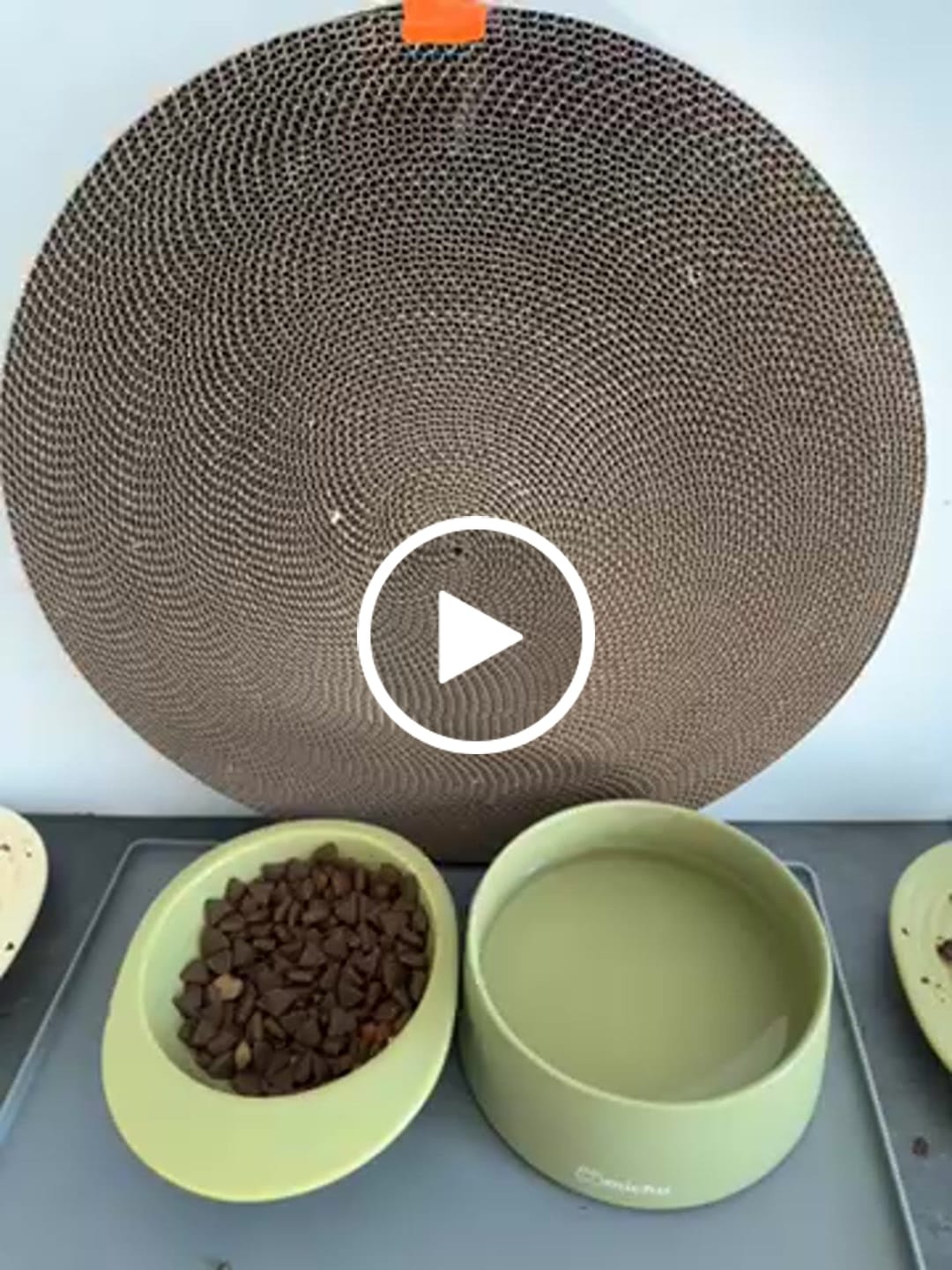 Customer video review of Michu Litter Box Scratch Pad: Durable & Effective Replacement