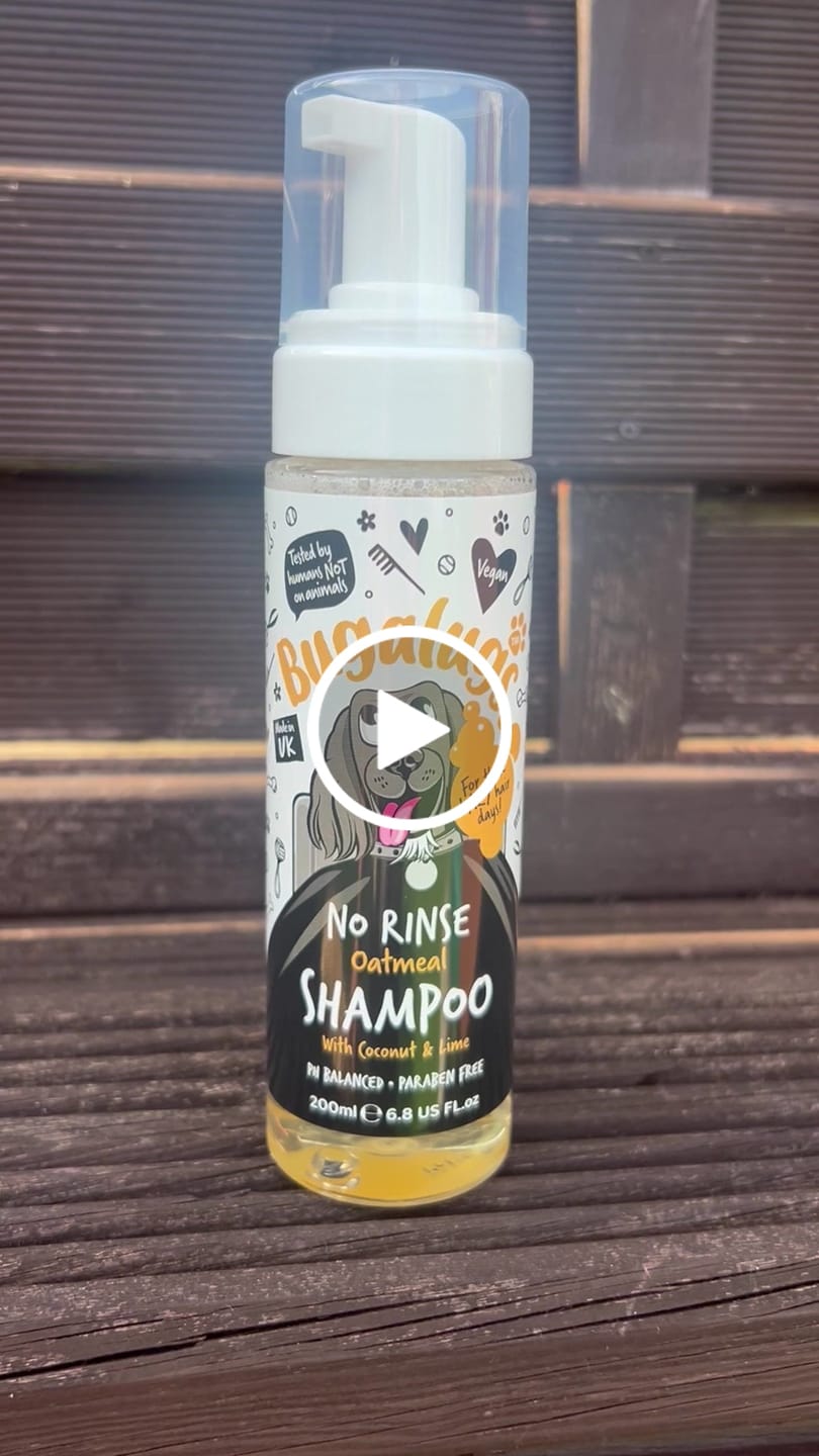 Customer video review of No Rinse Oatmeal Dog Shampoo with Coconut & Lime