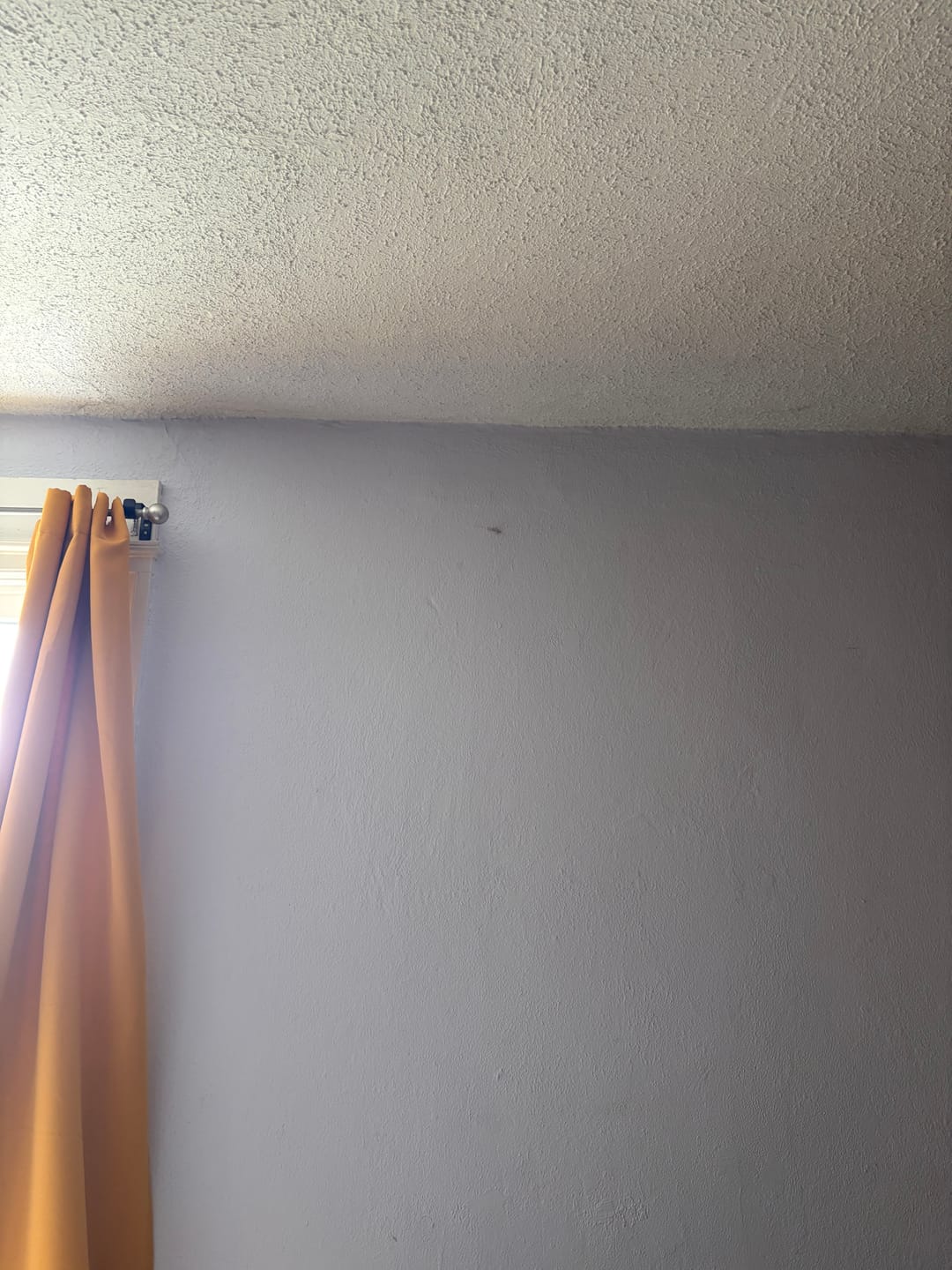 Customer photo review of RGBIC LED Strips