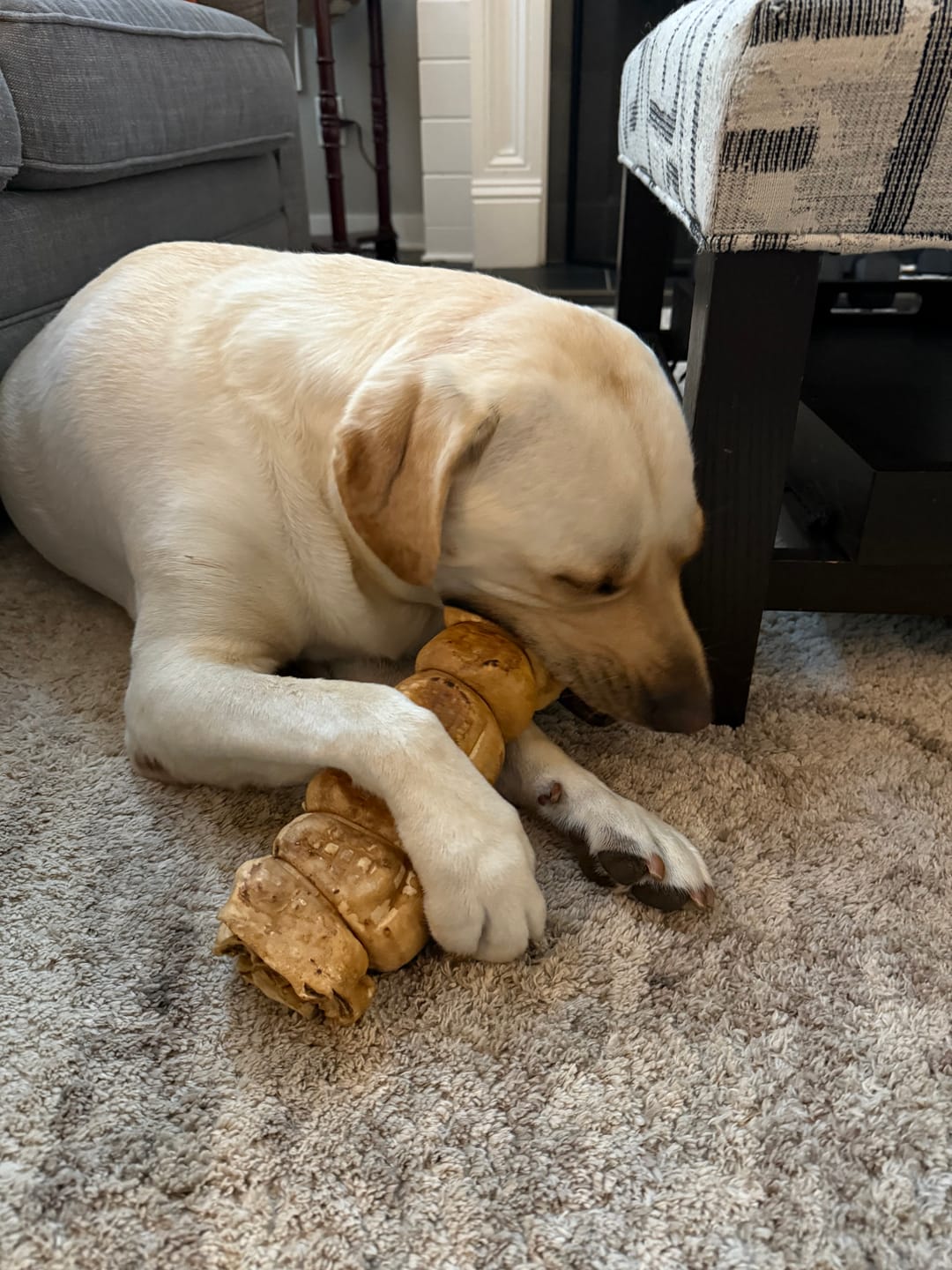 Customer photo review of 10-12 Inch Peanut Butter Cheek Roll