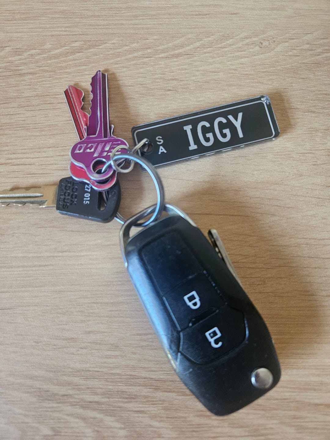 Customer photo review of SA Premium Licence Plate Custom Keychain