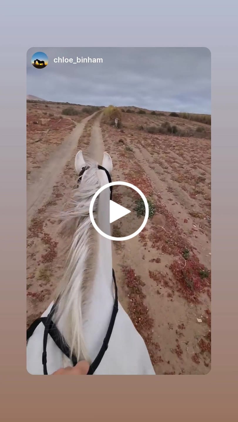 Customer video review of Renegade® Classic Hoof Boots - Black Knight