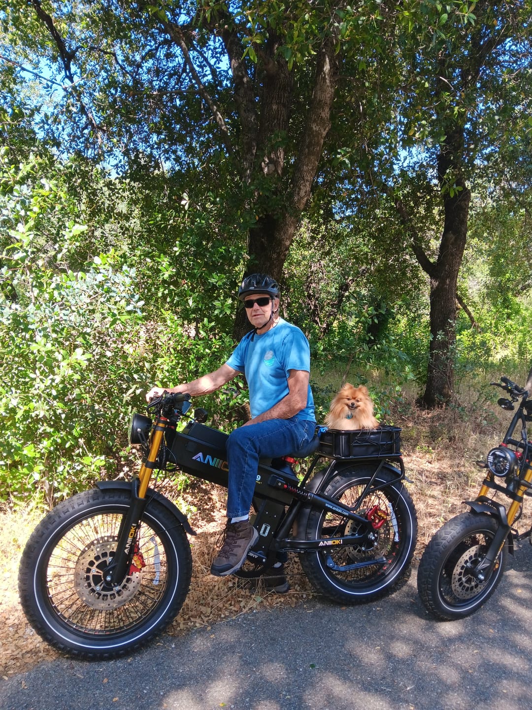 Customer photo review of 2025 Version A9 Pro Max Dual Motor Ebike