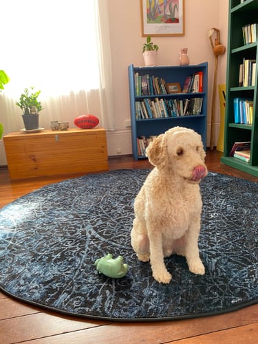 Customer photo review of Brooklyn Intricate Floral Blue Round Rug