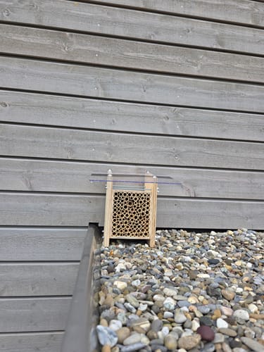 Customer photo review of BeeHome Classic