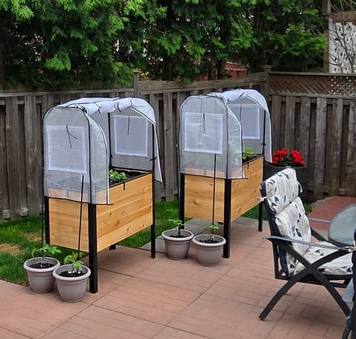 Customer photo review of 18" x 36" Raised Garden Bed - 30" TALL