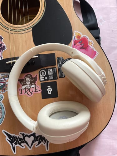 Customer photo review of Pulse ANC 1Gen