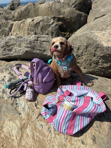 Customer photo review of Striped Canvas Tote Bag