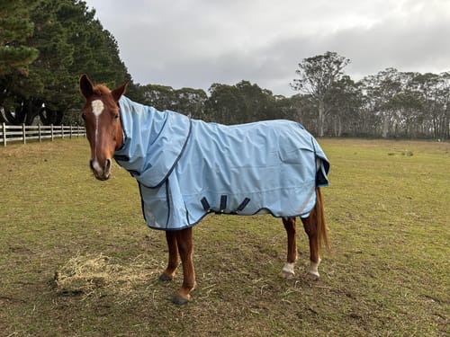 Customer photo review of LE Boxter Turnout 0g