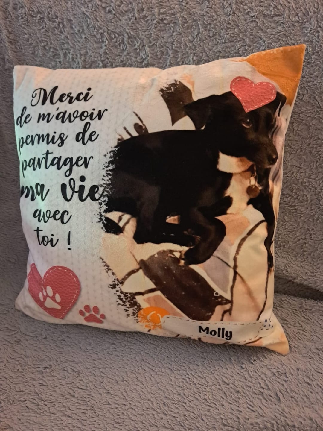 Customer photo review of Photo animal curieux - Autocollant pour voiture personnalisé
