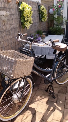 Customer photo review of E-Cargo N7