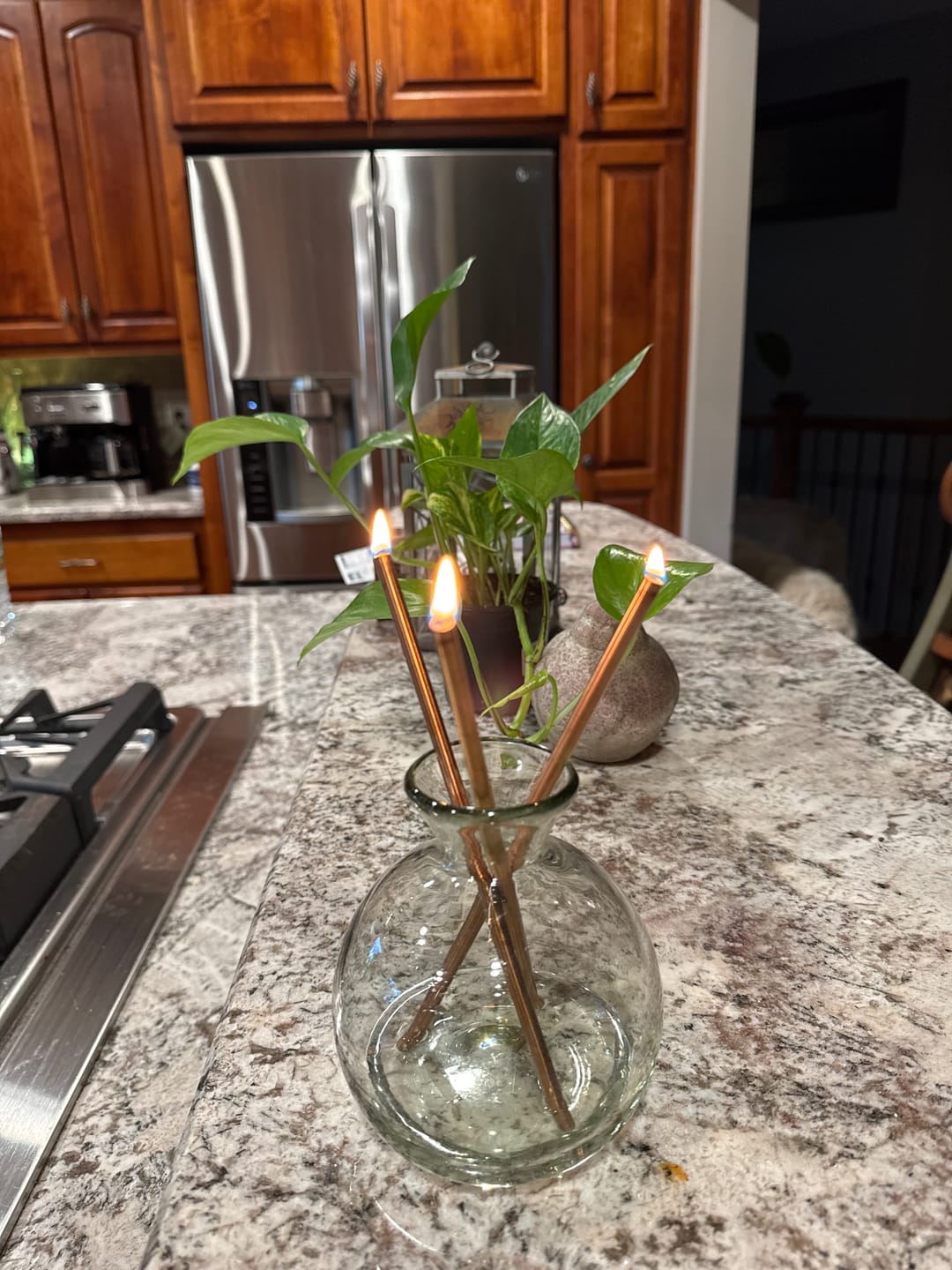 Customer photo review of Pristine Oil®