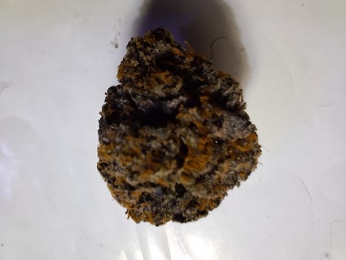 Customer photo review of Skunkberry