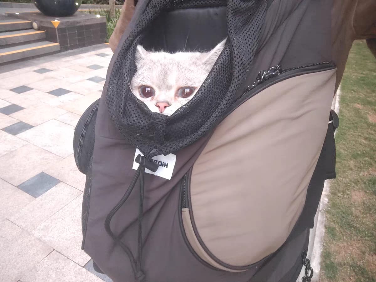 Customer photo review of Comfortable Labor-saving Front Pet Carrier