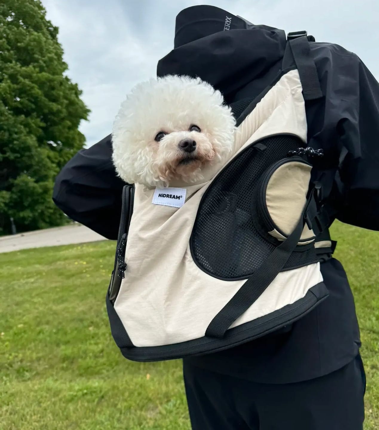 Customer photo review of Comfortable Labor-saving Front Pet Carrier