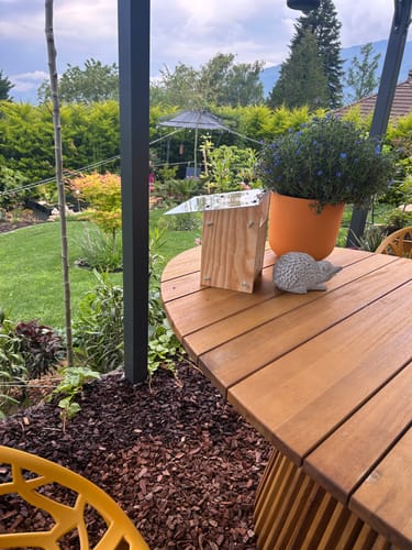 Customer photo review of BeeSummer Set Classic