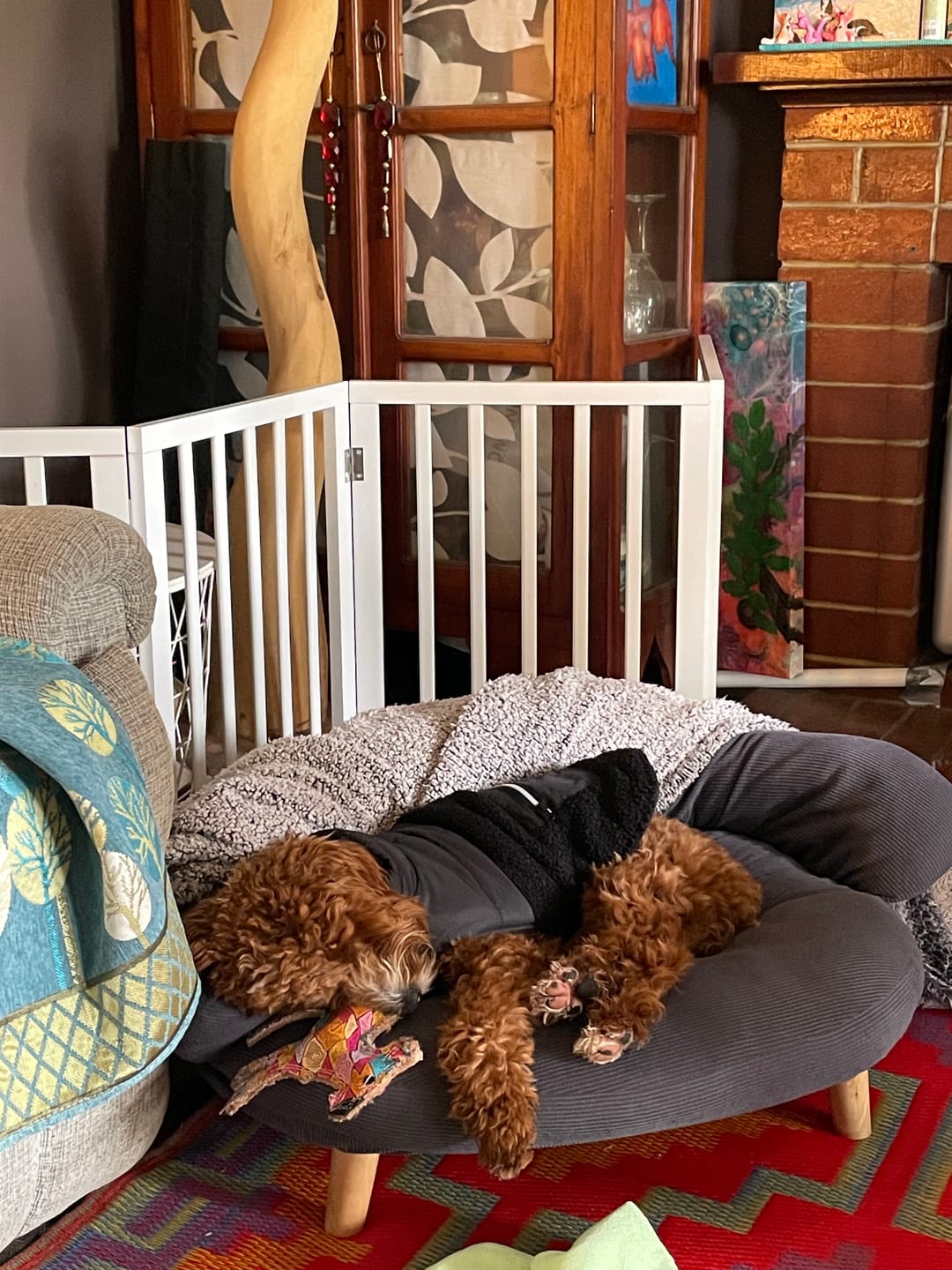 Customer photo review of Pawz Wooden Pet Gate