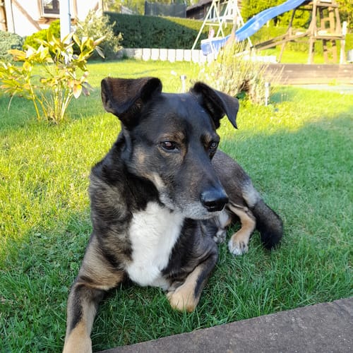 Customer photo review of Lucky Belly