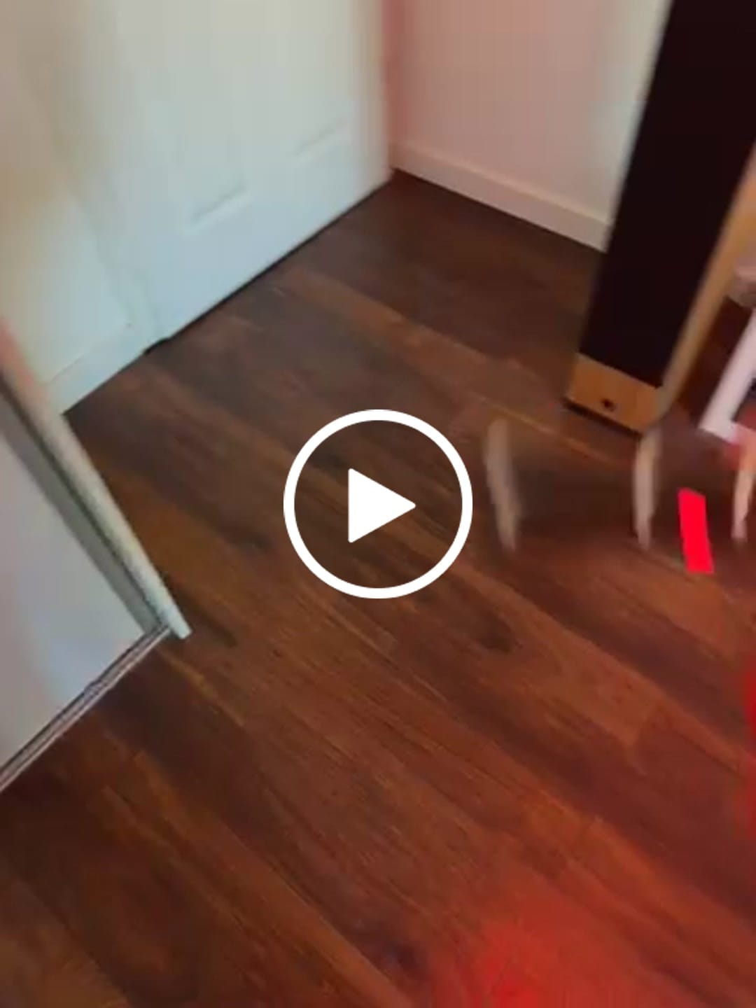 Customer video review of Knight | Saber