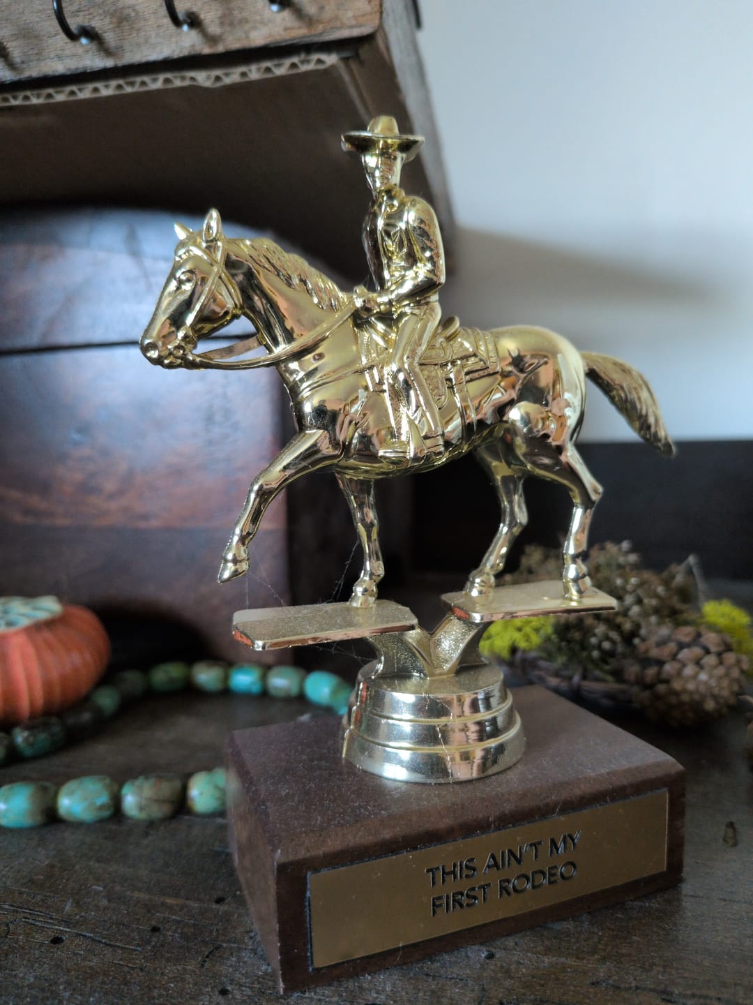 Customer photo review of THIS AIN'T MY FIRST RODEO trophy